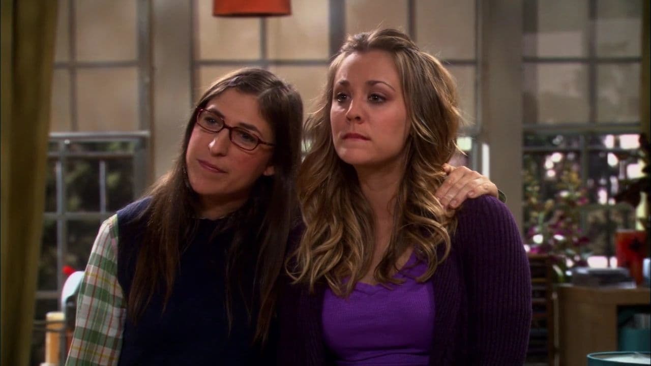 The Big Bang Theory Saison 5 Episode 17