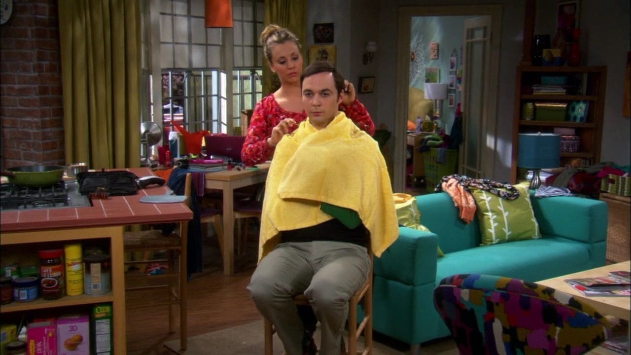 The Big Bang Theory Saison 5 Episode 18