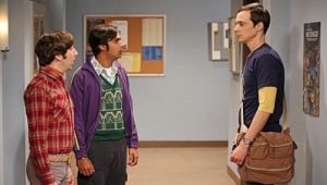 The Big Bang Theory Saison 6 Episode 8