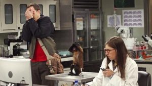 Saison 7