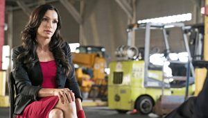The Blacklist Saison 3 Episode 21