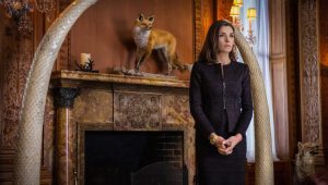 The Good Wife Saison 6 Episode 13