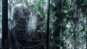 The Walking Dead : Daryl Dixon Saison 1 Episode 3