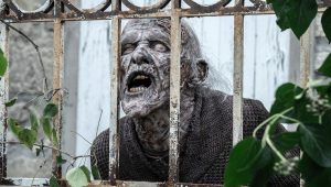 The Walking Dead : Daryl Dixon Saison 2 Episode 4