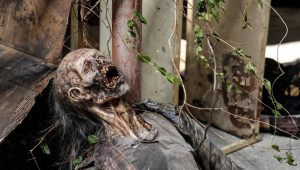 The Walking Dead : Dead City Saison 1 Episode 2