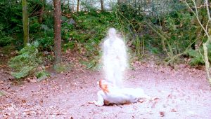 The X-Files Saison 1 Episode 1