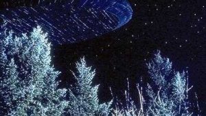 The X-Files Saison 1 Episode 17