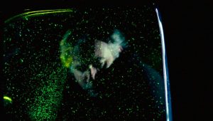 The X-Files Saison 1 Episode 20