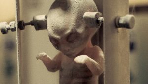 The X-Files Saison 1 Episode 24