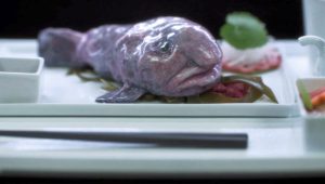 The X-Files Saison 11 Episode 7