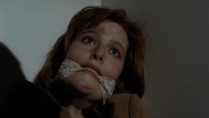The X-Files Saison 2 Episode 13