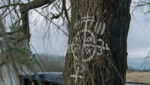 The X-Files Saison 2 Episode 15