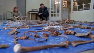 The X-Files Saison 2 Episode 24