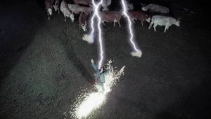 The X-Files Saison 3 Episode 3