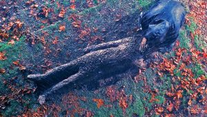 The X-Files Saison 4 Episode 15