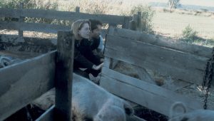 The X-Files Saison 4 Episode 2