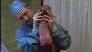 The X-Files Saison 4 Episode 20