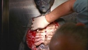 The X-Files Saison 4 Episode 24