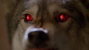 The X-Files Saison 6 Episode 16