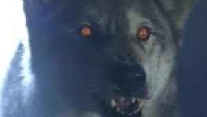The X-Files Saison 6 Episode 16