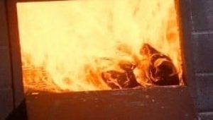 The X-Files Saison 6 Episode 7