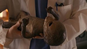 The X-Files Saison 8 Episode 20
