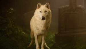 Saison 4