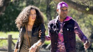 Saison 6