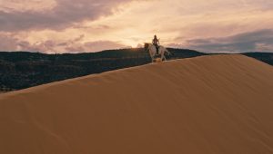 Westworld Saison 2 Episode 8