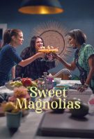 À l'ombre des magnolias Saison 4
