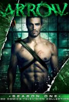 Arrow Saison 1