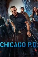 Chicago Police Department Saison 12