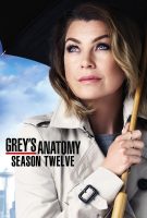 Saison 12