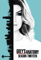 Saison 13