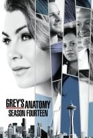 Saison 14