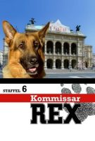 Rex, chien flic Saison 6