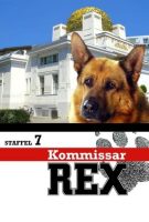 Rex, chien flic Saison 7
