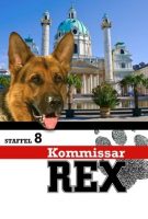 Rex, chien flic Saison 8