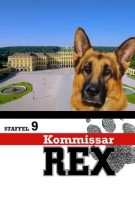 Rex, chien flic Saison 9