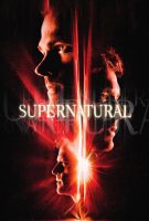 Saison 13