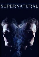 Saison 14