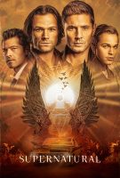 Saison 15