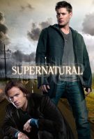 Saison 8