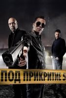 Saison 5