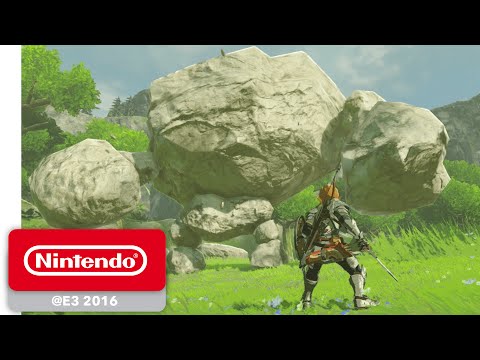 Zelda Breath of the Wild : une version cartouche serait prévue #2