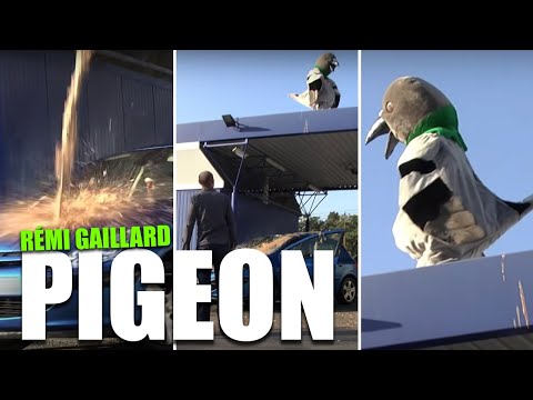 Rémi Gaillard est N’importe Qui, mais c’est surtout un gros Pigeon #2