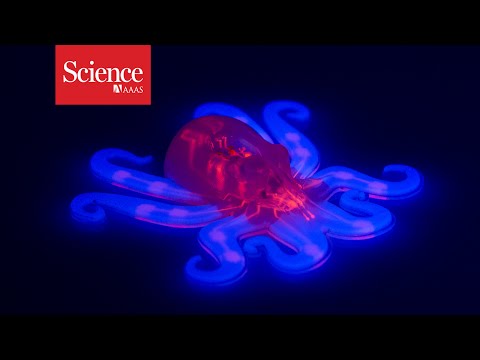 Octobot : un robot-pieuvre « mou » imprimé en 3D #2