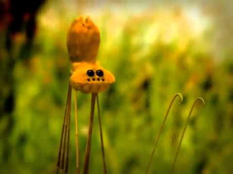 Minuscule La vallée des fourmis : un film d’animation 100% français #2