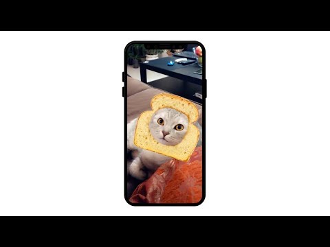 Snapchat lance des filtres spécialement pour les chats #2