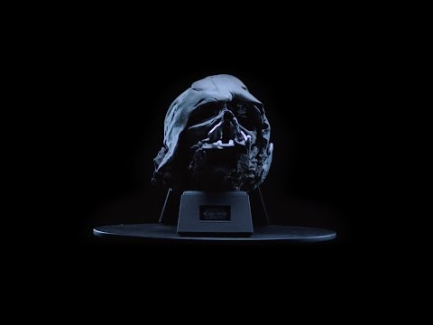 Lucasfilm crée sa e-boutique de casques et d’armes Star Wars